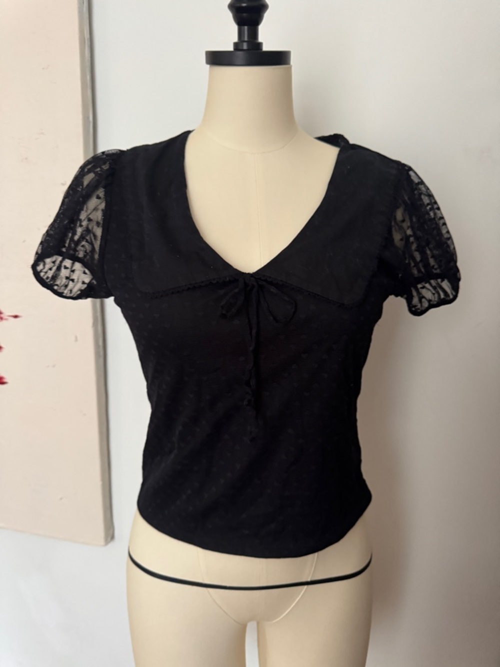 Black Lace Sleeve V-Neck Top with Peter Pan Collar